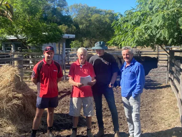 A great turnout today with a preview of our Bulls prior to Mondays sale. All Bulls will be going to Boyanup on Monday to be on show.