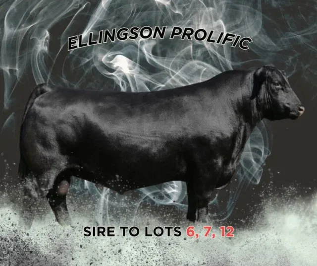 Ellingson Prolific -Lots 6, 7 and 12