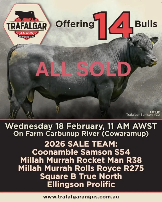 100% Clearance

A special thanks to Jess Dewar from BEEF IT UP for her support leading up to auction day.