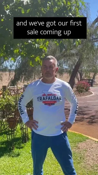 Welcome! To learn more about us and see the bulls we have for sale this Wednesday, head to the link in our bio.