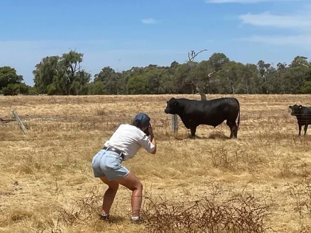 Photo day last week for the fast approaching Brunswick sale in March!