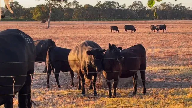 What a caring mother 🥰